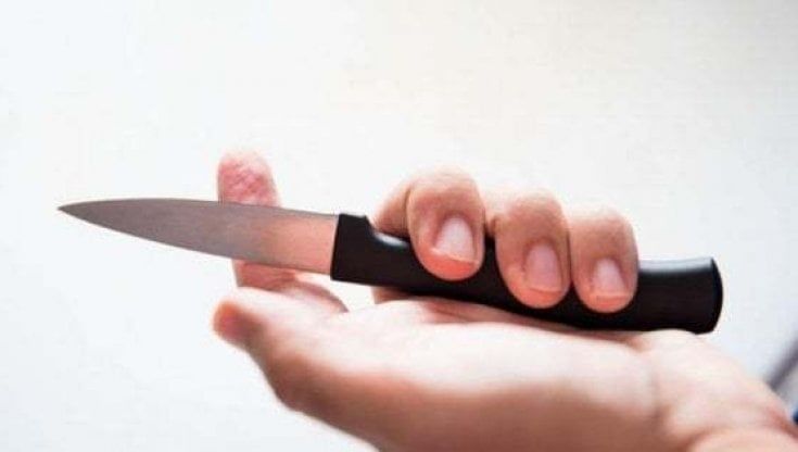 Preside rimprovera quattordicenne, lei la minaccia con un coltello: "Lo ha puntato agli agenti"