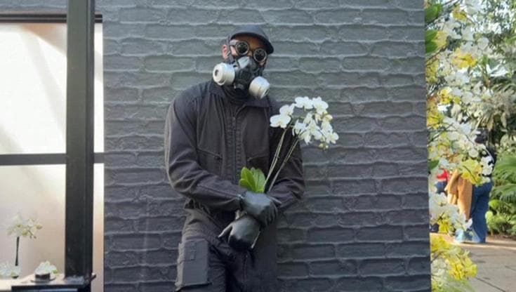 Ny, il Bronx invaso dalle orchidee: merito di Mr. Flower Fantastic