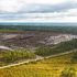Finland: environmentalists halt Google. Data centre that had cleared the forest closed