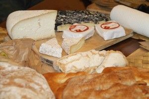 Nuovo sito per Vetrina Toscana<br />con 750 ristoranti e 250 botteghe