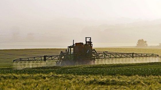 Glifosato: saranno 4 i Paesi membri relatori per rinnovo