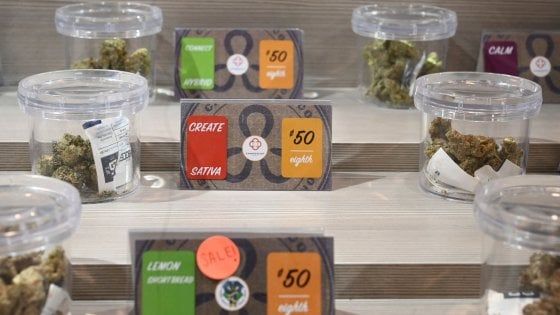 Marijuana, a Taranto maxi sequestro al grossista che fornisce i cannabis shop