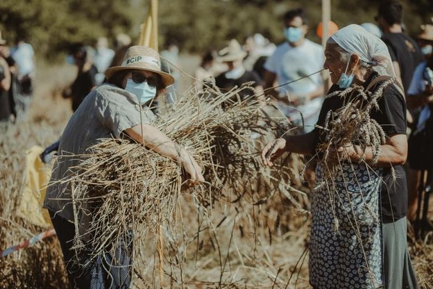 Cilento, il Palio del Grano esalta Caselle in Pittari