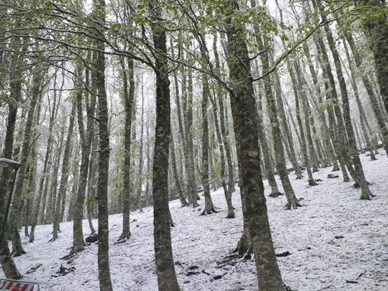 Potenza, sui monti arriva la neve di maggio