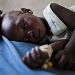 Malaria, in un microbo che aggredisce le zanzare il segreto per sconfiggere la malattia