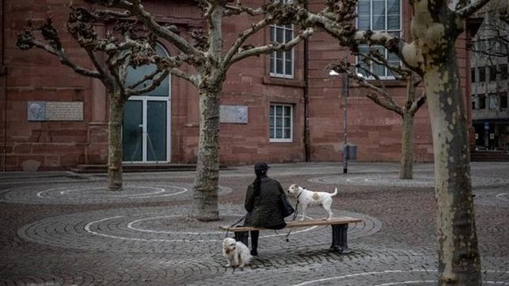 Dieci zampe a passeggio