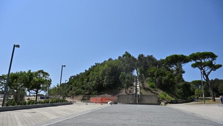 Comitato Rete no Box: “Servono più alberi al parco Virgiliano”