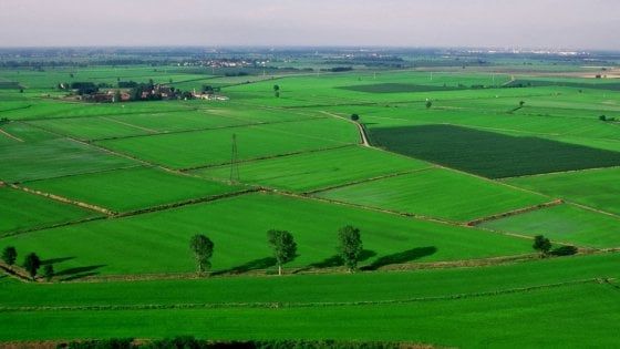 Pianura padana, il lockdown ha fatto bene all'ambiente: giù gli inquinanti