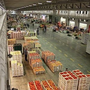 Coronavirus, a Bolzaneto regolarmente aperto il mercato dell'ortofrutta all'ingrosso