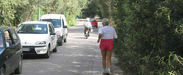 Aperta o chiusa alle auto? Il futuro della Favorita divide anche gli ambientalisti
