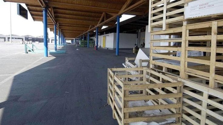 Caab, Marco Marcatili: “Entro fine gennaio qui si farà la spesa. Grazie al Pnrr apriremo il mercato del pesce”
