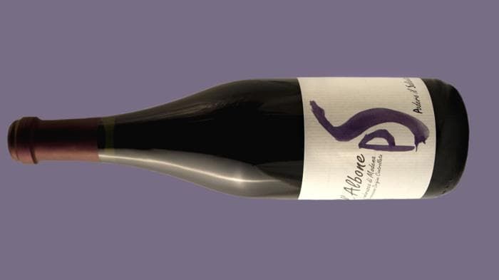 Un vino per Carnevale? Stappate il Lambrusco