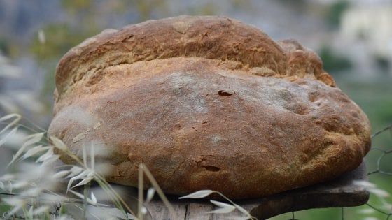 Passo dopo passo forno dopo forno, alla riscoperta dei pani arcaici calabresi 
