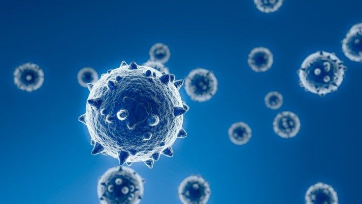 Non solo Covid: siamo circondati da coronavirus