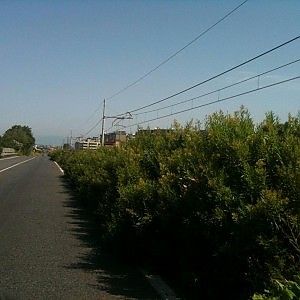 Castellammare, allarme viabilit&agrave;<br />erbacce e rifiuti sul raccordo
