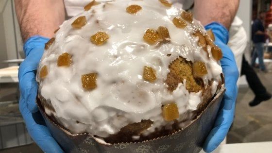 Panettone con uvetta e canditi? Siete antichi, il dolce di Natale vive la sua fase creativa