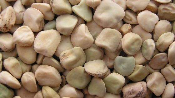 Cicerchia, olio e bruschette, così si festeggia nel weekend delle sagre in Sabina