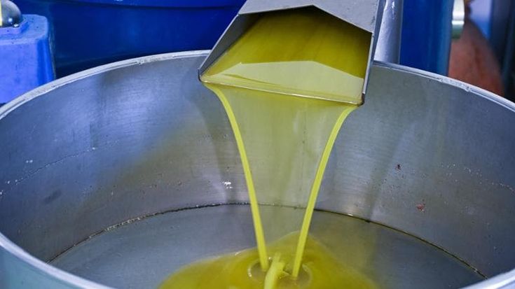 Autogol sull’olio d’oliva: Tunisia batte Italia. “L’Ue freni gli acquisti”
