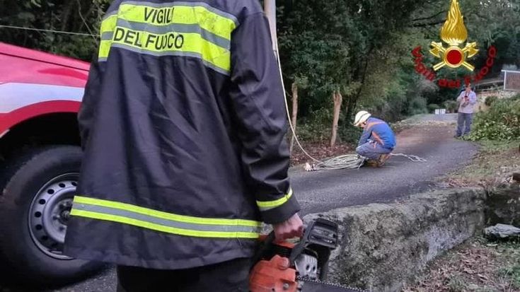 Maltempo in Toscana, notte critica tra Lunigiana e Lucca: fiumi monitorati, alberi in strada