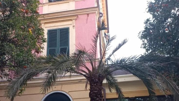 Tursi, un milione in più per aumentare la cura delle piante