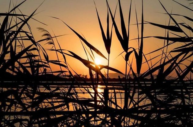 Trapani, l'incanto del tramonto sulle saline