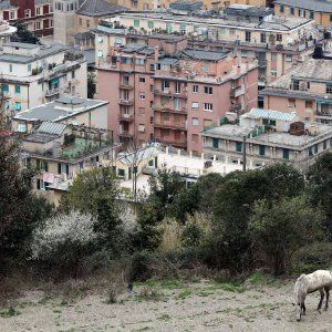 Bolzaneto, un quartiere in trincea contro i ladri: "Viviamo nella paura, ottanta furti in un anno"