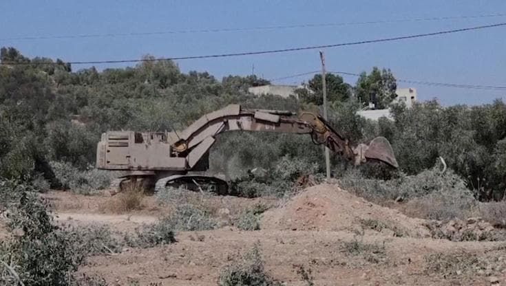 Cisgiordania, la guerra degli ulivi: perché i militari israeliani abbattono migliaia di piante