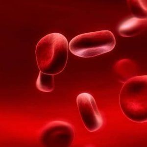 Un biosensore che diagnostica il cancro con un prelievo di sangue 