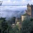 Colli, torri e tartufi di San Miniato