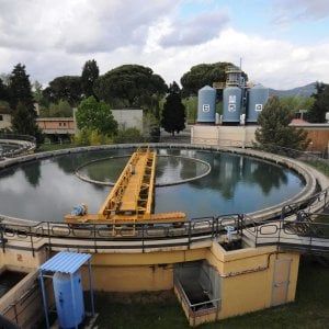 Firenze, rubinetti a secco per un'ora: la piena dell'Arno manda in tilt l'Anconella