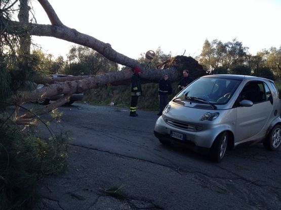Maltempo, alberi caduti e due feriti a Roma