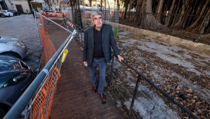 Palermo, addio alla pedana per guardare il ficus: "Vincono i vandali"