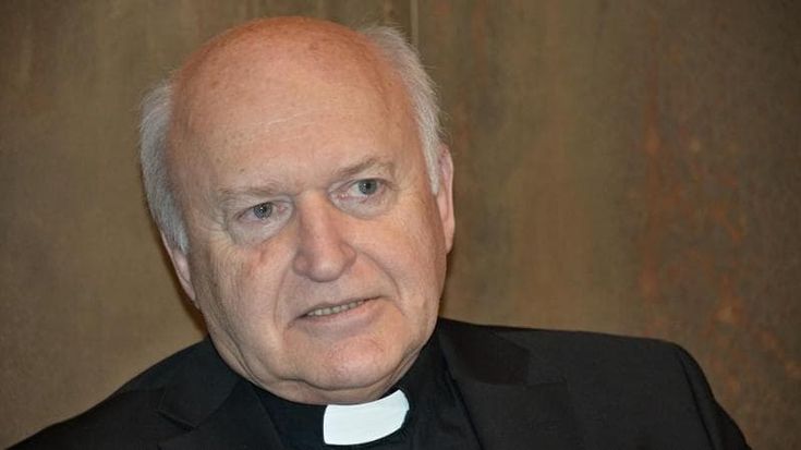 Cardinale Nemet: “Russi, americani e cinesi vorrebbero indebolire l’Unione europea”