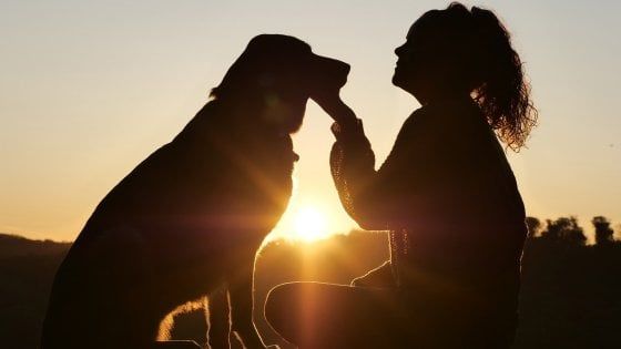 Giornata del cane, per un italiano su 3 è come un figlio