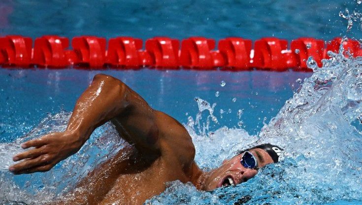 Gregorio Paltrinieri, l'alieno tra mare e cloro