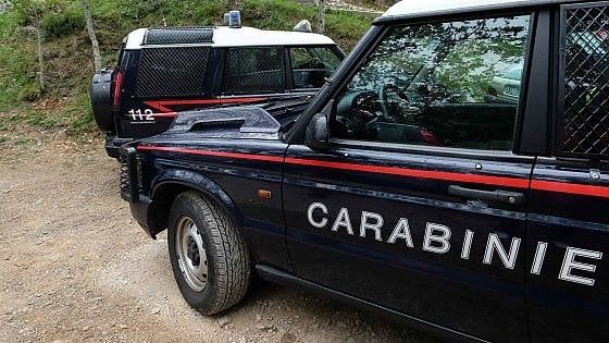 Andria, rubano olive e speronano l'auto dei carabinieri per fuggire: cinque arrestati