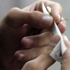 Shopping di "erba" a Parma<br />Arrestato 19enne fidentino