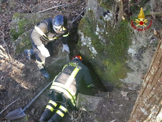 Appennino bolognese, due cani da caccia incastrati in una cava: i vigili del fuoco impegnati nel salvataggio