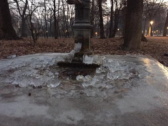 La foto : un martedi di ghiaccio a Parma