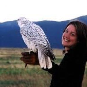 Helen Macdonald: "Il mio falco mi ha detto" 