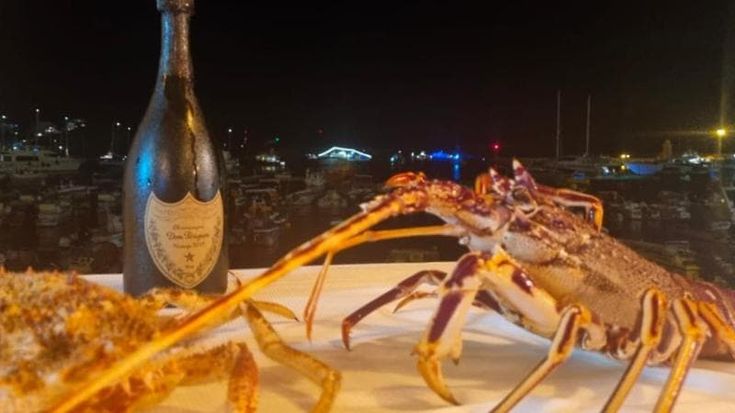 Ponza, dopo lo scontrino d’oro scatta il furto dell’aragosta: “L’abbiamo ritrovata e liberata”