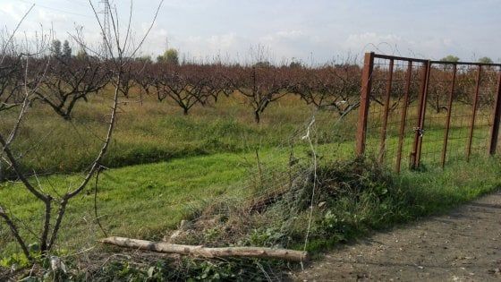 Nuovo atto vandalico su un bene confiscato a Casal di Principe
