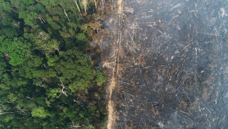 Brasile, incriminato per reati ambientali il ministro dell'Ambiente. Le Ong denunciano il piano di Bolsonaro per disboscare sempre più foresta degli indigeni