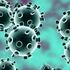 Coronavirus, in Italia e Europa record di notizie sul web. Ma Germania e Spagna sembrano averlo sottovalutato