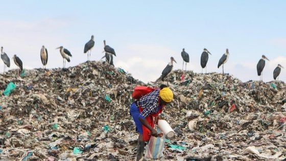 Giornata dell'ambiente: lotta all'inquinamento. "Viola i diritti umani"