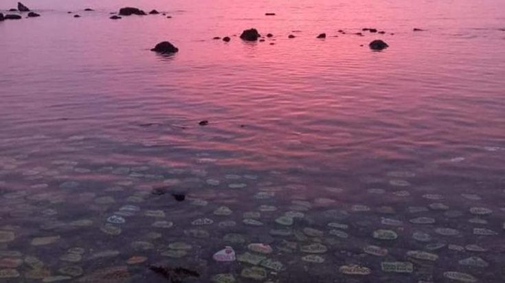 Il "Mare dei ricordi" di Antignano sulla tv francese: i sassi per chi non c'è più arrivano oltre confine
