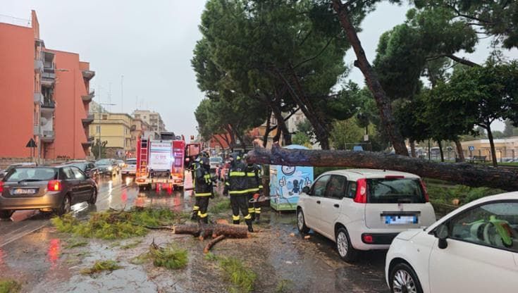 Allerta meteo in Puglia, scuole chiuse e strade a rischio: a Bari albero cade su auto parcheggiata