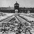 Ad Auschwitz il mondo commemora l'Olocausto. Papa: "Serve un futuro di pace"