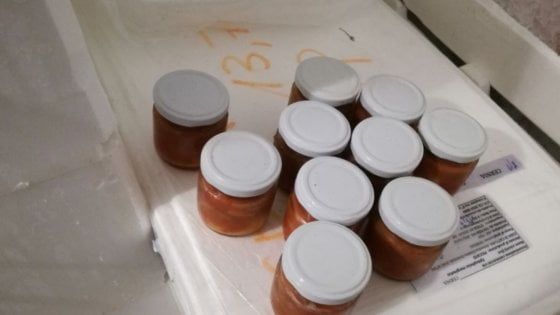 Salento, pesce spada conservato nelle acque del porto e polpa di ricci: maxi multa alle pescherie