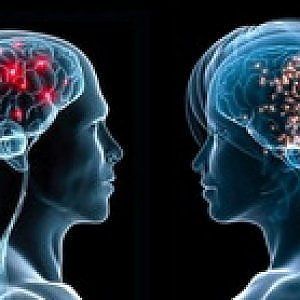 Alla scoperta del cervello al Forum delle Neuroscienze